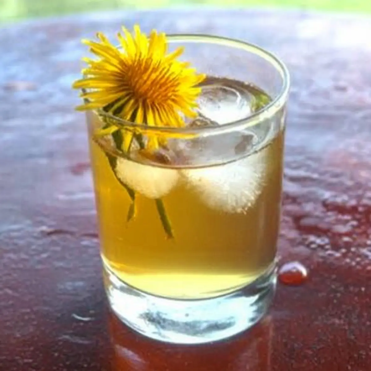 Dandelion Iced Tea